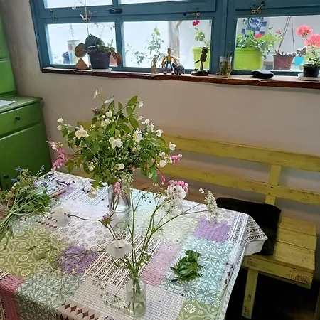 Villa Dika *