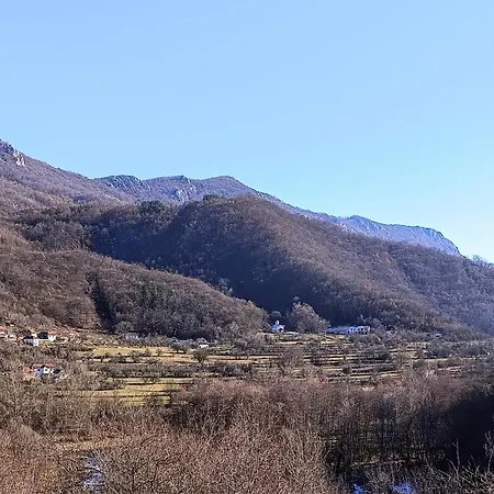 Dika Poganovo